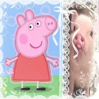 peppaptd3kl