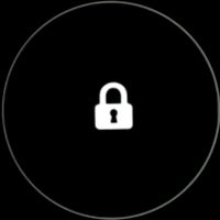 medved801hamshira516