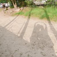 bakamotorio1130.1112