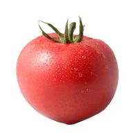 tomato10m