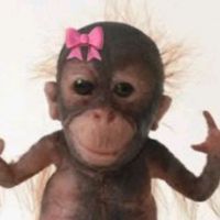 nhạc nền - dờ â diễm