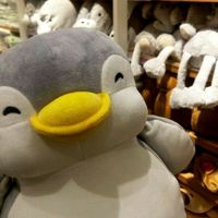 original sound - Phoo_Pyaeᥫ᭡