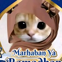 zakiatunnisa44