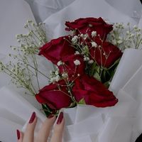wisso_aloui