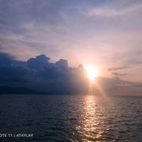 bannibeat