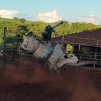 joaoleite38