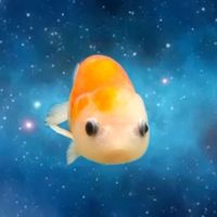 オリジナル楽曲 - ラピタ