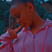 www.tikt.combluespeedy