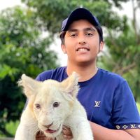 lion_hub_