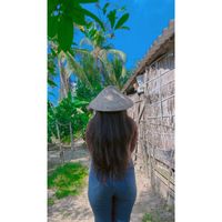 nhạc nền - Rồng Mũm Mĩm M55