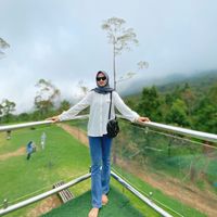 yolleaaa_
