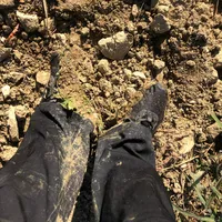 original sound - s2026year3