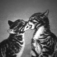 оригинальный звук