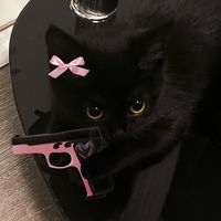 missgbot_