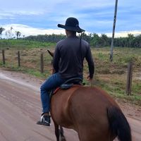 laeciocardoso98