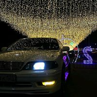 extranam_28