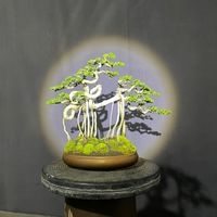 saiful_bonsai_workshop
