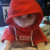 original sound - octa_mac