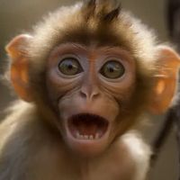 оригінальний аудіозапис – nikita)))