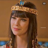 nefertarifc2