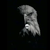 original sound - baari0000