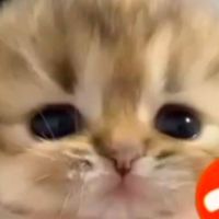 callmetwo1
