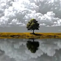 original sound - sumii_abbaxi