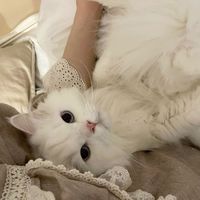 cemree_17