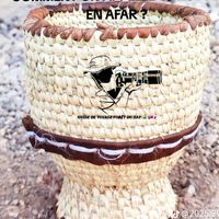 aliafar8880