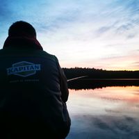 оригинальный звук