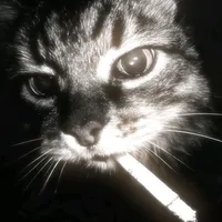 original sound - drayz.cp