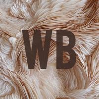 wildberriesruss