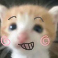 nhạc nền - DucNonLa