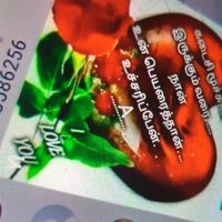 user7236546019625