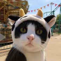 original sound - EYAO