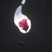 nightmoonxyz