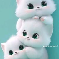 jara_angle