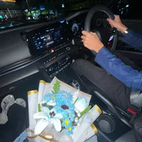 original sound - aerysimo