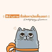 khuntonton.run