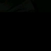surihana_tabarex