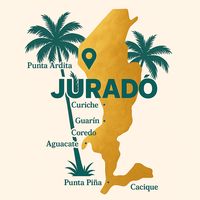 juradochoco