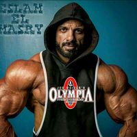 eslammohamedelmasry505