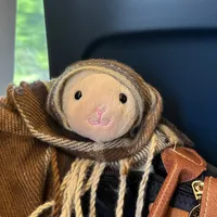 original sound - aa33fy