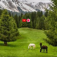 оригинальный звук