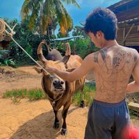 piyawat_1810