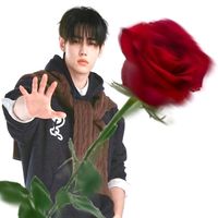 សំឡេងដើម - sunghoon