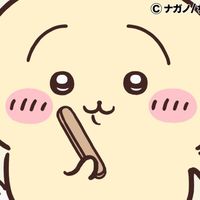 オリジナル楽曲 - はるちゃん🐰ྀི