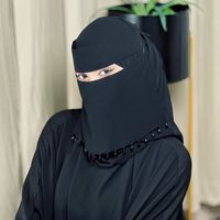 shehzadi.info