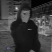 оригинальный звук