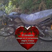 adelimostacero
